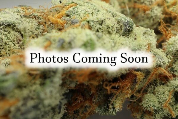 ON SPECIAL FLOWER - Candy Fumez