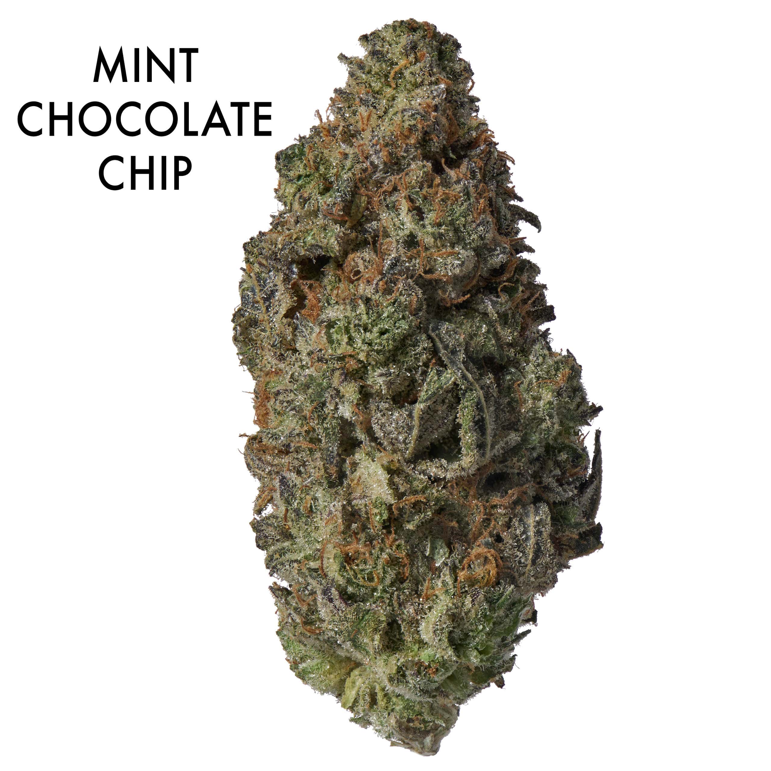 ON SPECIAL GAS AAAA Mint Chocolate Chip Harmonized Hemp