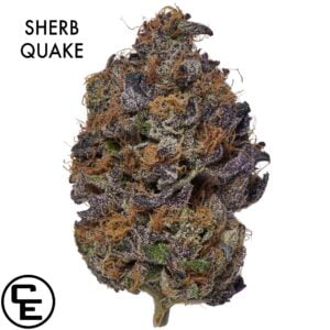 AAAA DESIGNER FLOWER - SHERB QUAKE