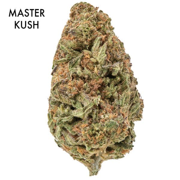 ON SPECIAL FLOWER - Master Kush