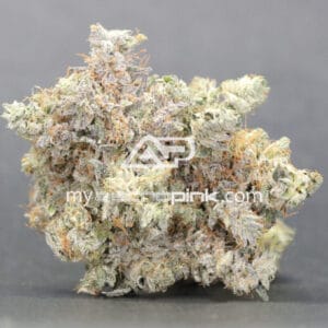 ASTROPINK - LOT #2146 PINK PATRON