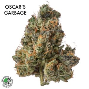 AAAA+ DESIGNER FLOWER - OSCARS GARBAGE