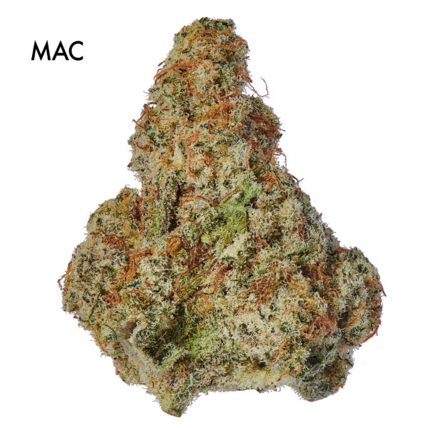 ON SPECIAL FLOWER - MAC
