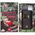 BURN 3 GRAM VAPE - Forbidden Fruit