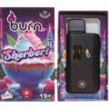 BURN 3 GRAM VAPE - Sherbert