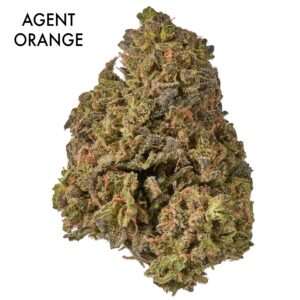 ON SPECIAL FLOWER - Agent Orange