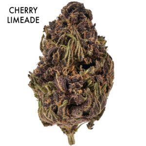 ON SPECIAL FLOWER - Cherry Limeade