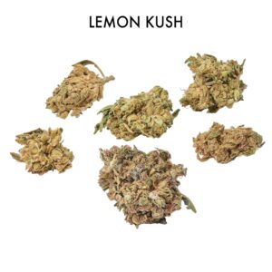 ON SPECIAL FLOWER width=