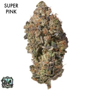 AAAA DESIGNER FLOWER - SUPER PINK