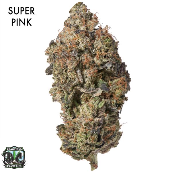 AAAA DESIGNER FLOWER - SUPER PINK