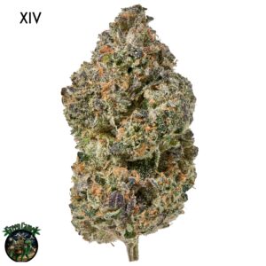 AAAA+ DESIGNER FLOWER - XIV