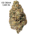ON SPECIAL GAS AAAA - Ice Cream Cake #6
