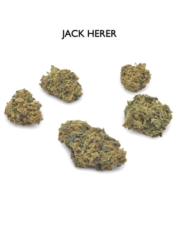 ON SPECIAL FLOWER - Jack Herer