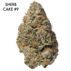 ON SPECIAL GAS AAAA - Sherb Cake #9