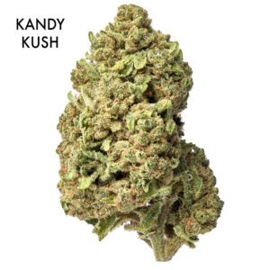 ON SPECIAL FLOWER - Kandy Kush
