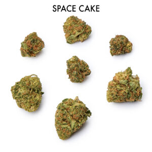 ON SPECIAL FLOWER - Space Cake