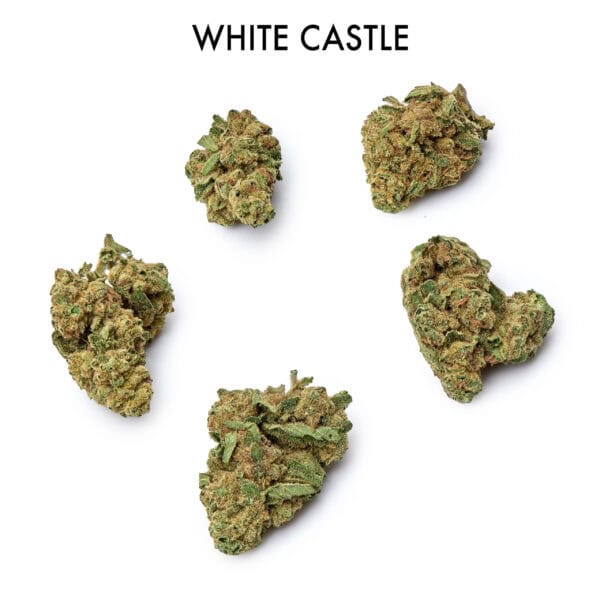 ON SPECIAL FLOWER - White Castle