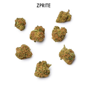 ON SPECIAL FLOWER - Zprite