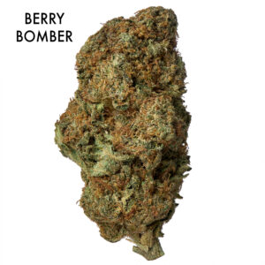 ON SPECIAL FLOWER - Berry Bomber