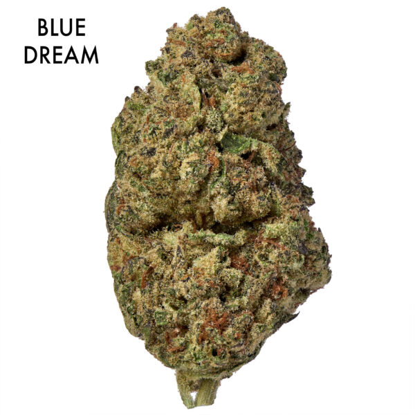 ON SPECIAL FLOWER - Blue Dream