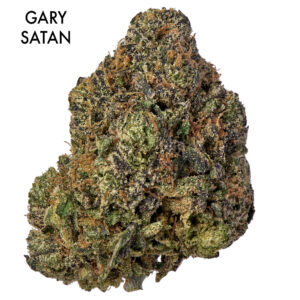 ON SPECIAL FLOWER - Gary Satan