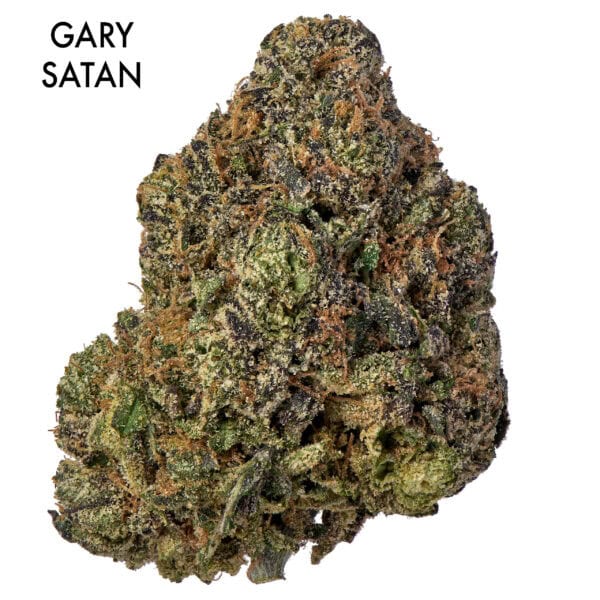 ON SPECIAL FLOWER - Gary Satan
