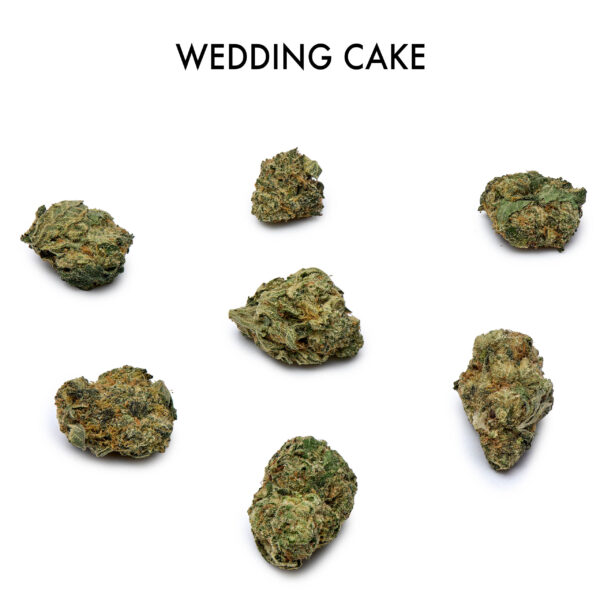 ON SPECIAL FLOWER - Wedding Cake