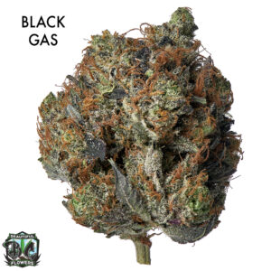 ON SPECIAL FLOWER - Black Gas