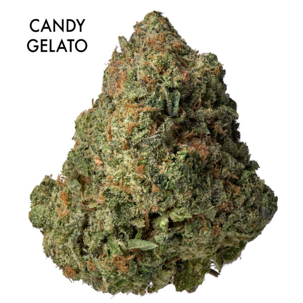 ON SPECIAL FLOWER - Candy Gelato