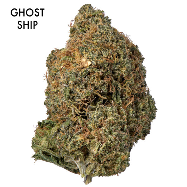 ON SPECIAL FLOWER - Ghostship