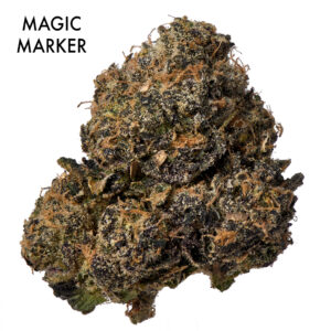 ON SPECIAL FLOWER - Magic Marker