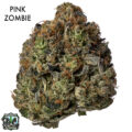 ON SPECIAL GAS AAAA - Pink Zombie