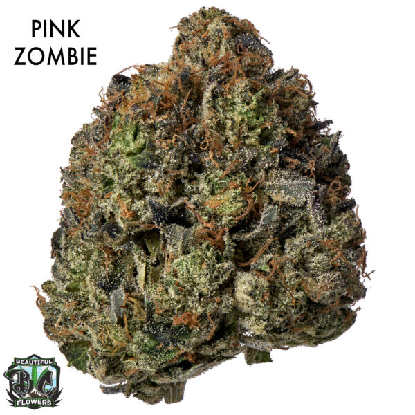 ON SPECIAL GAS AAAA - Pink Zombie