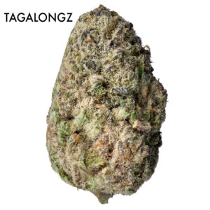 ON SPECIAL GAS AAAA - Tagalongz