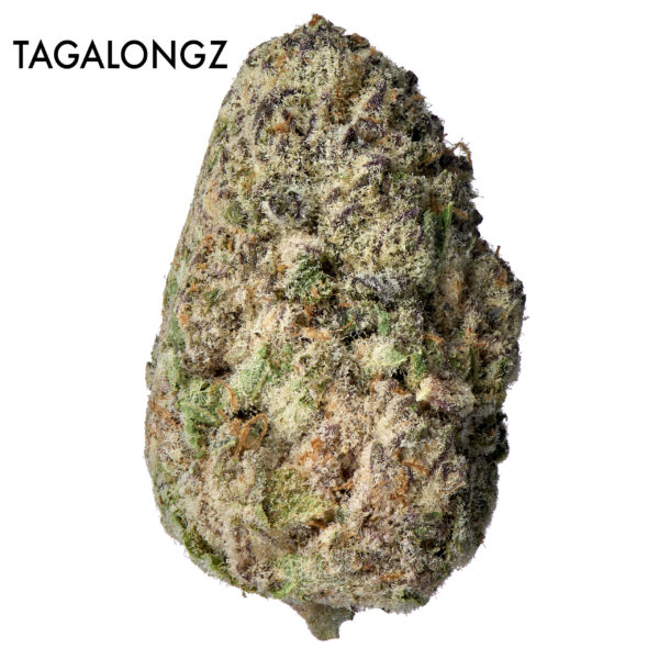 ON SPECIAL GAS AAAA - Tagalongz