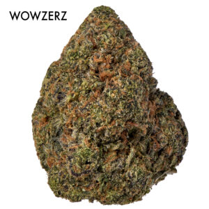 ON SPECIAL FLOWER - Wowzerz