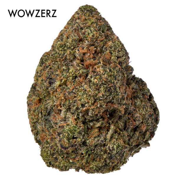 ON SPECIAL FLOWER - Wowzerz