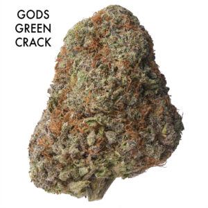 ON SPECIAL FLOWER - God`s Green Crack