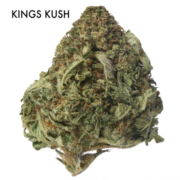 Stacked from 12 images. Method=B (R=7,S=4) ON SPECIAL FLOWER width=