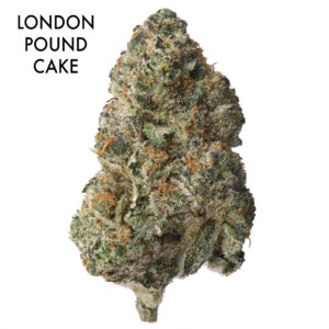 ON SPECIAL FLOWER - London Pound Cake