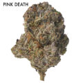 ON SPECIAL GAS AAAA - Pink Death