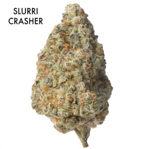 ON SPECIAL FLOWER - Slurri Crasher