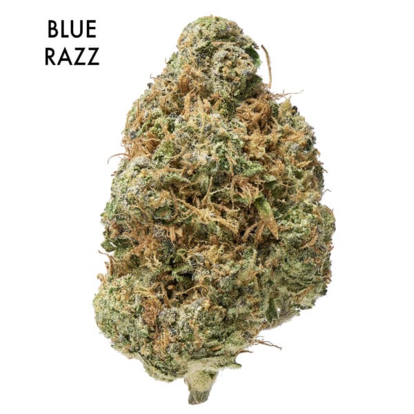 ON SPECIAL FLOWER - Blue Razz