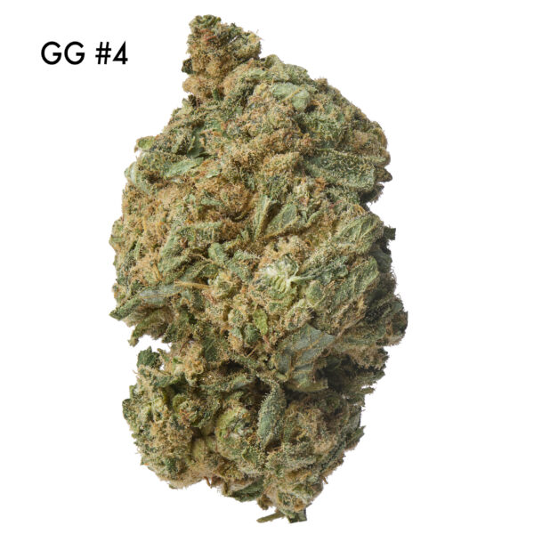 ON SPECIAL FLOWER - Gorilla Glue #4