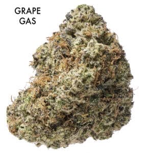 ON SPECIAL FLOWER - Grape Gas