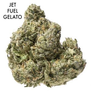 ON SPECIAL FLOWER - Jet Fuel Gelato