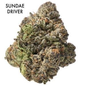 ON SPECIAL FLOWER - Sundae Driver