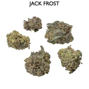 ON SPECIAL FLOWER - Jack Frost